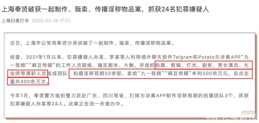 解析麻豆传媒网址：深入探讨与引导。